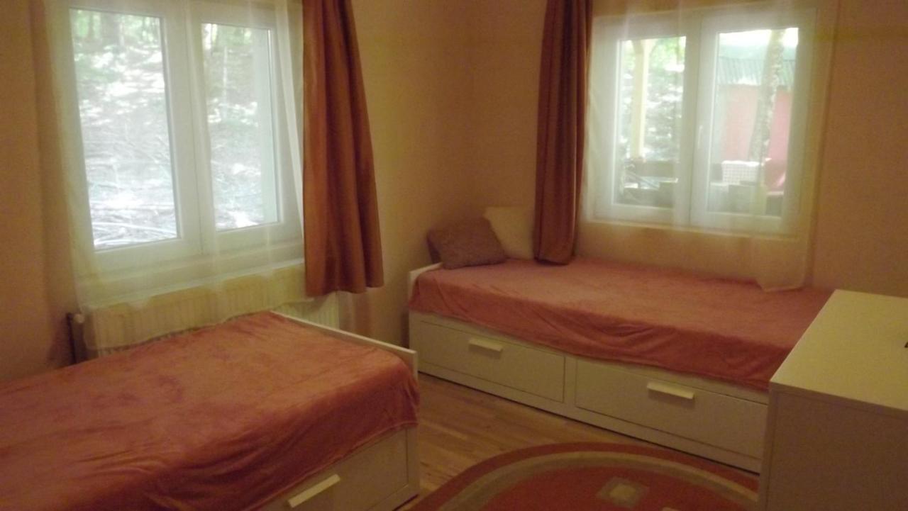Casa De Oaspeti Boga Pietroasa  Dış mekan fotoğraf