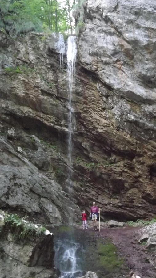 Casa De Oaspeti Boga Pietroasa  Dış mekan fotoğraf