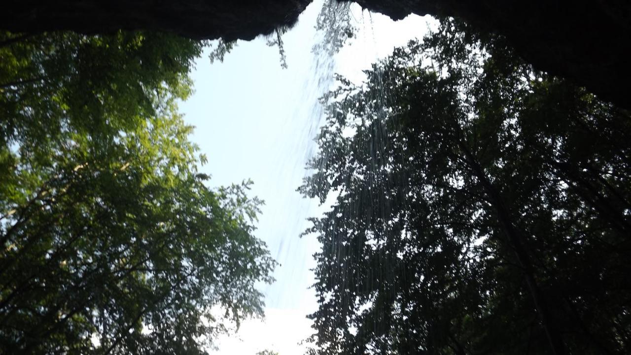 Casa De Oaspeti Boga Pietroasa  Dış mekan fotoğraf